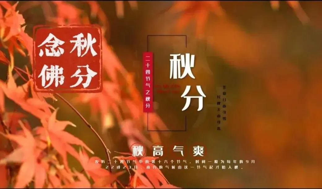 【彼岸花开】秋分劝念佛：秋分念佛莫贪眠, 一句弥陀信要坚！