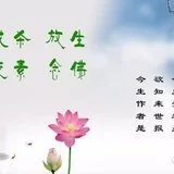 Featured image of post 【专题法语】印光大师：哪类人不会遭遇瘟疫？