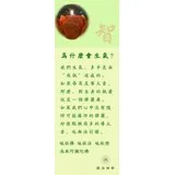 Featured image of post 为什么会生气？