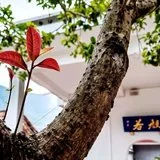 Featured image of post 【人生嘉言】《格言联璧》：何谓“至行”？何谓“大人”？