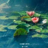 Featured image of post 【佛佑中华 国泰民安】今日小暑，正好念佛：净中念佛常安乐，句句弥陀分外明！