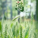 Featured image of post 【佛佑中华 国泰民安】今日小满，正好念佛：小满持名意味长，一尘不立最清凉！