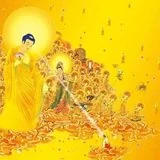 Featured image of post 【佛佑中华 国泰民安】普愿众生同系念，金台天乐共迎时！