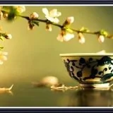Featured image of post 佛经中的人生智慧：前行七步，却行七步
