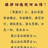 Featured image of post 【佛经语录】胜妙功德从何而得？