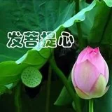 Featured image of post 【佛经语录】菩萨有十种发心，我们发了多少？