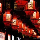 Featured image of post 元宵佳节我们一起燃灯供佛！