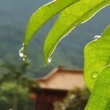 Featured image of post 【剪影】2019年恭迎观世音菩萨圣诞吉日诵经念佛法会