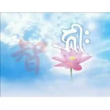 Featured image of post 友有四品，不可不知！