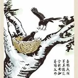 Featured image of post 【孝亲报恩专题法语之七】佛陀因地故事：孝顺的鹦鹉