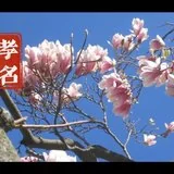 Featured image of post 【孝亲报恩专题法语之五】为什么说“孝名为戒”？
