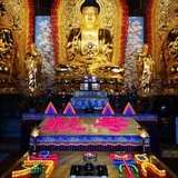 Featured image of post 【孝亲报恩专题法语之十】祖师开示：孝顺二事，我们做到了吗？