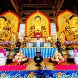 Featured image of post 【孝亲报恩法语之十二】兰盆供僧福无量！(一）