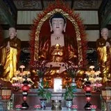 Featured image of post 【学佛行仪之入寺院三十一】大雄宝殿中世尊左右的二位尊者您认识吗?（一）