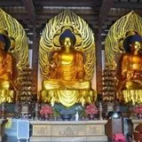 Featured image of post 【学佛行仪之入寺院二十八】大雄宝殿的三尊佛您认识吗？（三）