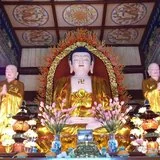 Featured image of post 【学佛行仪】佛、法、僧为什么被称为是“宝”？