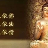 Featured image of post 【学佛行仪】认识三宝：今乃知，唯此是，真正归依处！