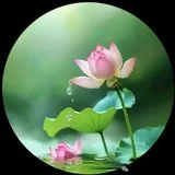 Featured image of post 【彼岸花开】印光大师：怎样做才是真念佛人?