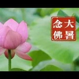 Featured image of post 【彼岸花开】大暑流金似火攻，毫无暖气到心中！
