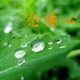 Featured image of post 【彼岸花开】憨山大师：念佛心不切有六个原因！
