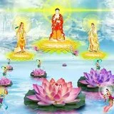 Featured image of post 【念佛法语之十三】念佛人遇不如意事，该如何转念？
