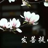 Featured image of post 【念佛法语二十三】弘一大师：修净土宗的头等大事是什么？（一）