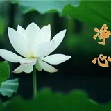 Featured image of post 【念佛法语】憨山大师：修行净业，必以净心为本！