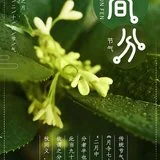 Featured image of post 【念佛法语】明日春分劝念佛：春分念佛正相宜，时到其中莫远离！
