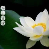 Featured image of post 【念佛法语】蕅益大师：信愿如目，众行如足！