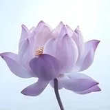 Featured image of post 【戒香普熏】《 大智度论》：持戒清净，所愿皆得！