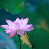 Featured image of post 【戒香普熏】《 戒香经》：唯有戒香而最上！