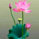 Featured image of post 【戒香普熏】元照律师：立三誓，受三戒，证三德！