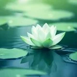 Featured image of post 【戒香普熏】断离间语，得四种果报！