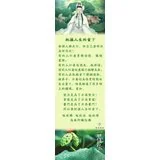Featured image of post 把握人生的当下