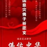Featured image of post 【抗疫专题法语】护国息灾佛子祈愿文