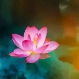 Featured image of post 【持戒法语】一切胜妙功德，皆因持戒而得！