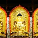 Featured image of post 【新春法语专题】礼佛的殊胜功德