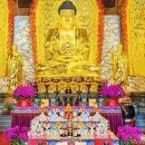 Featured image of post 【新春法语专题】礼现在贤劫千佛洪名功德利益