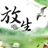 Featured image of post 【春节专题】懂得这一放生须知，功德胜于普通放生百倍！
