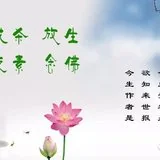 Featured image of post 【春节专题】莲池大师：遇到这七种场合，请勿吃素！（二）