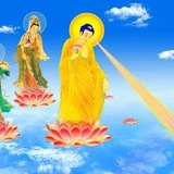 Featured image of post 【法讯】福清灵石寺2024恭迎阿弥陀佛圣诞诵经念佛祈福法会
