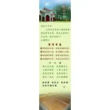 Featured image of post 清凉自在