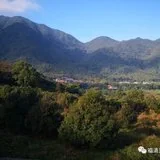 Featured image of post 【灵石剪影】灵石律寺两序大众岁末祭祖礼塔