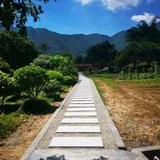 Featured image of post 【甘露法语】业障风再大，也吹不断柔软的忏悔草！