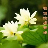 Featured image of post 【甘露法语】净界法师：转烦恼成菩提！