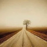 Featured image of post 【甘露法语】净界法师：这条路，我们迟早要走！