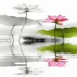 Featured image of post 【甘露法语】法藏法师：如何拥有无忧人生？