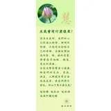 Featured image of post 生气会有什么后果？