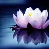 Featured image of post 【祖师开示】如何远离人生八苦？