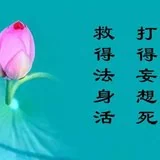 Featured image of post 【祖师开示】慈舟大师：打得妄想死，救得法身活！